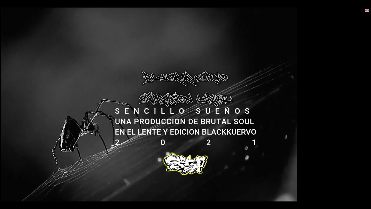 SUEÑOS (Kuervo Negro  FT Expresion Lirical)
