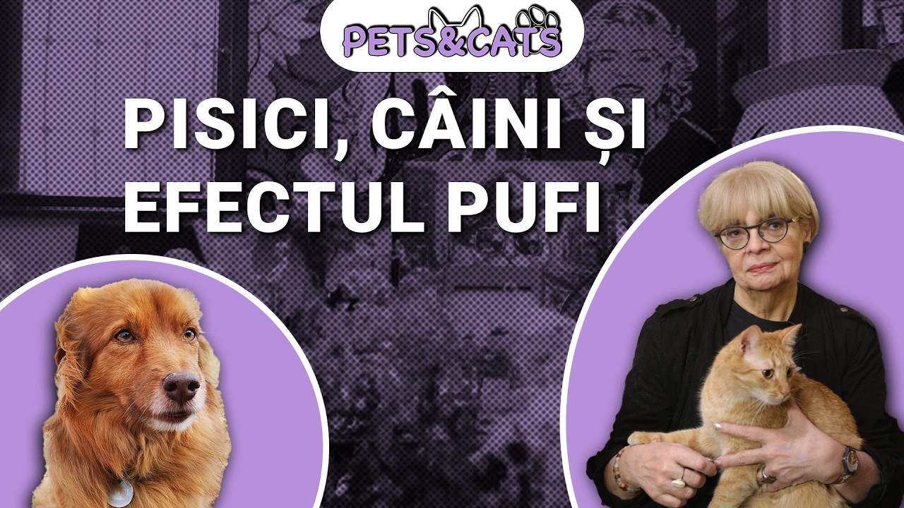 Irina Margareta Nistor despre „Efectul Pufi” și animale