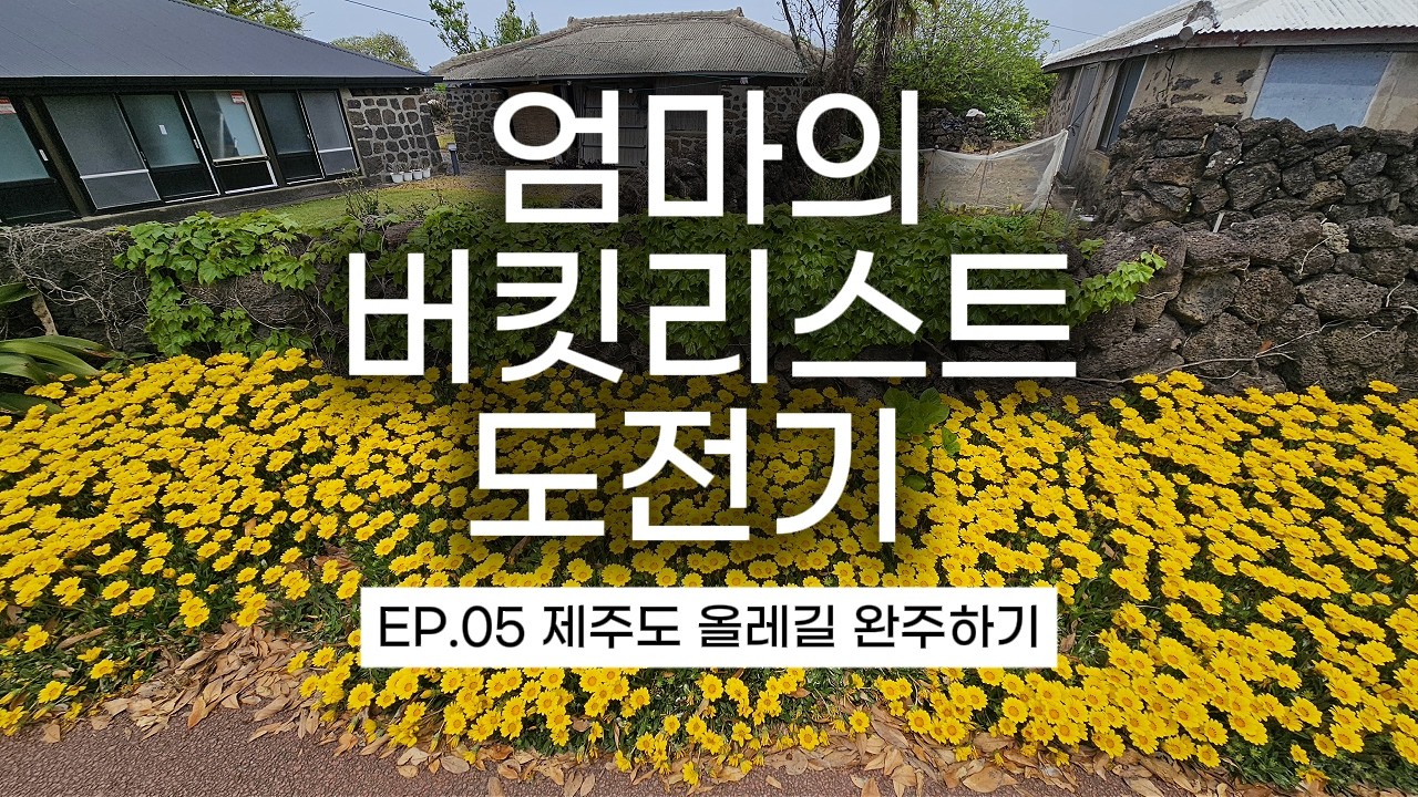 올레길 21코스에 대하여 (엄마의 버킷리스트 도전기 EP.05)