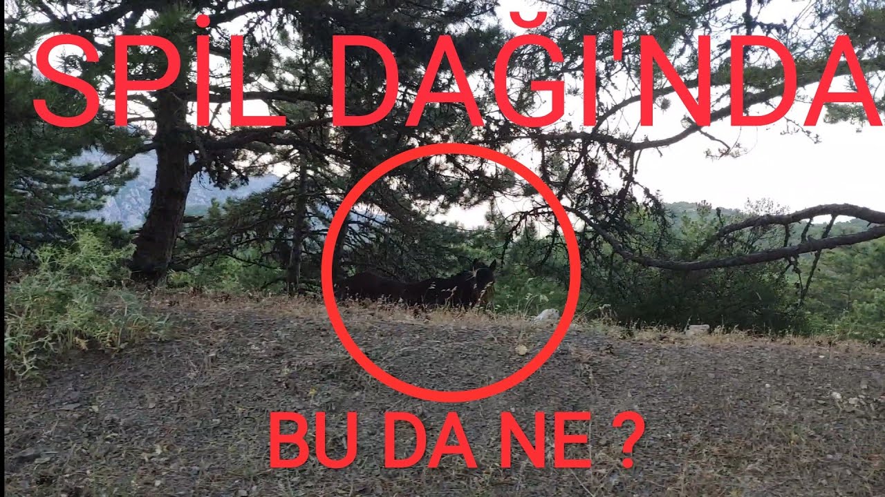 SPİL DAĞI - BU DA NE ?