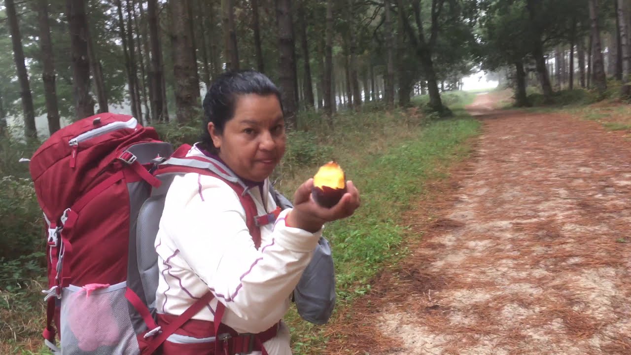 Camino Primitivo  2019: Etapa 9 O Cádavo a Lugo