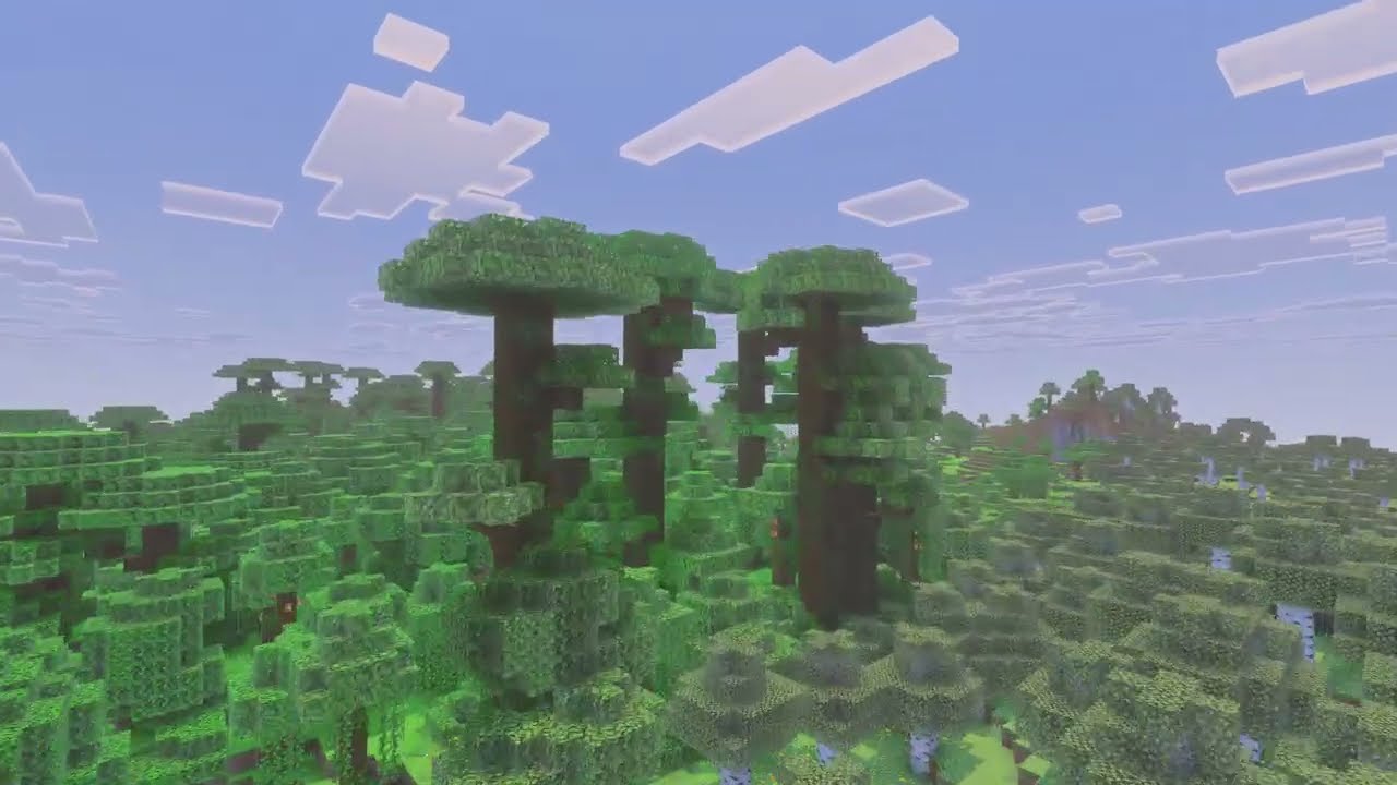Minecraft studying video