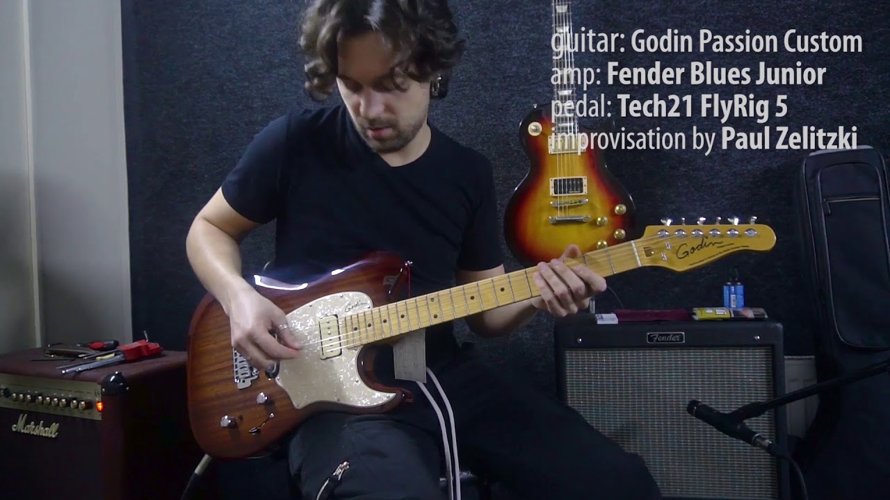 Струнодер 3.0 — Godin Passion Custom