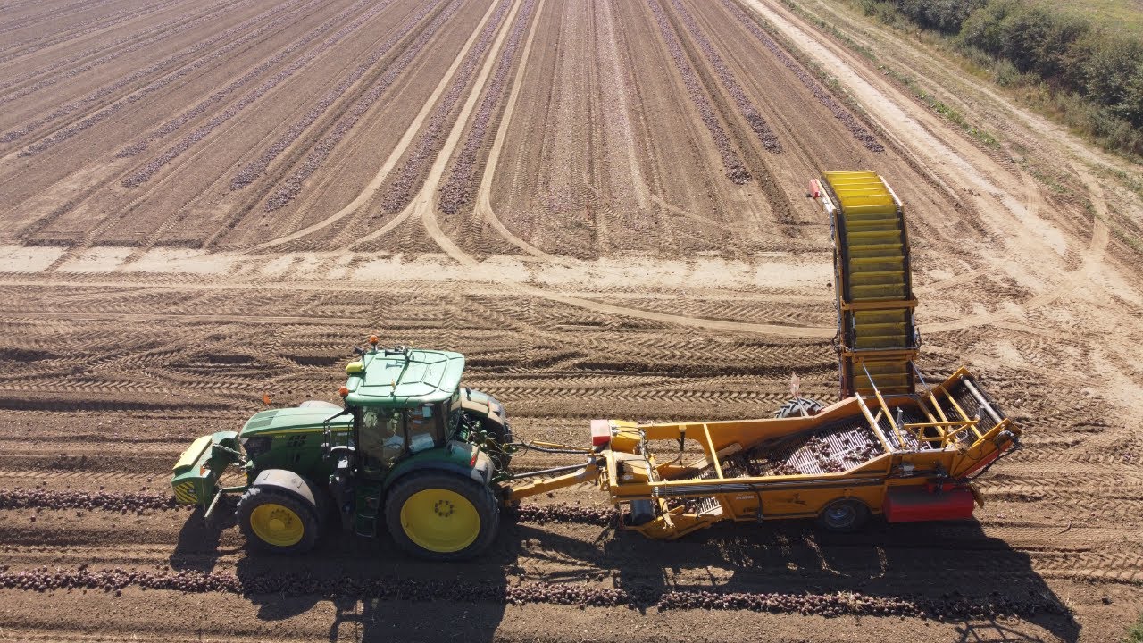 Samon Onion Loader (Harvester)
