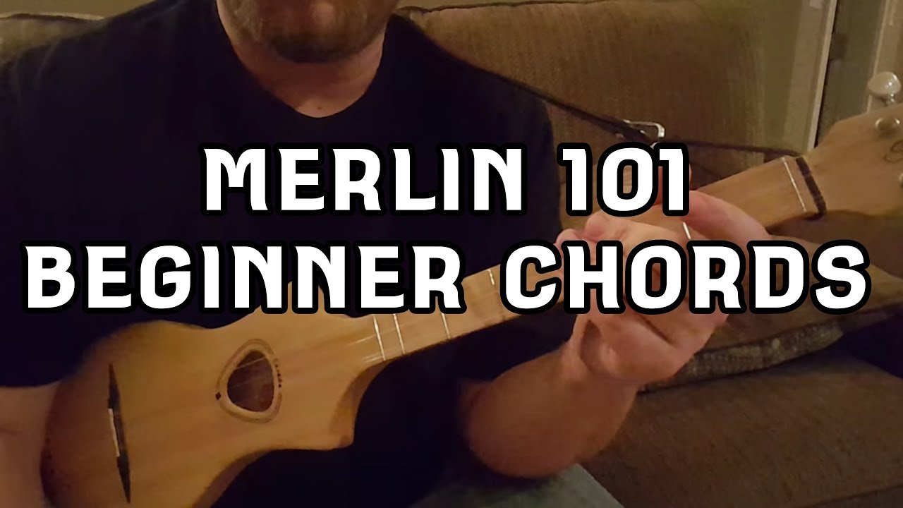 Seagull Merlin 101 - Beginner Chords