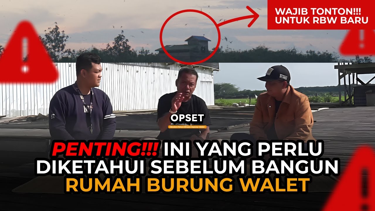 ⛔ YANG HARUS DIPERHATIKAN SEBELUM BANGUN RUMAH WALET BIAR GAK ZONK  | PODCAST WALET PAK IDHAMSYAH