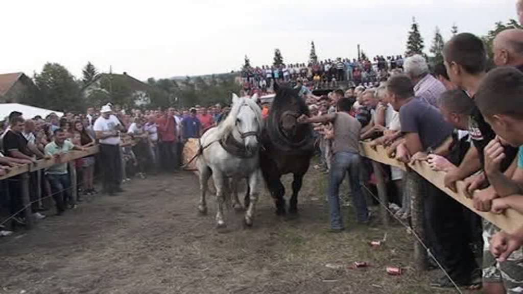 druga straparijada banjaluka lizdekovi konji odvukose najdalje