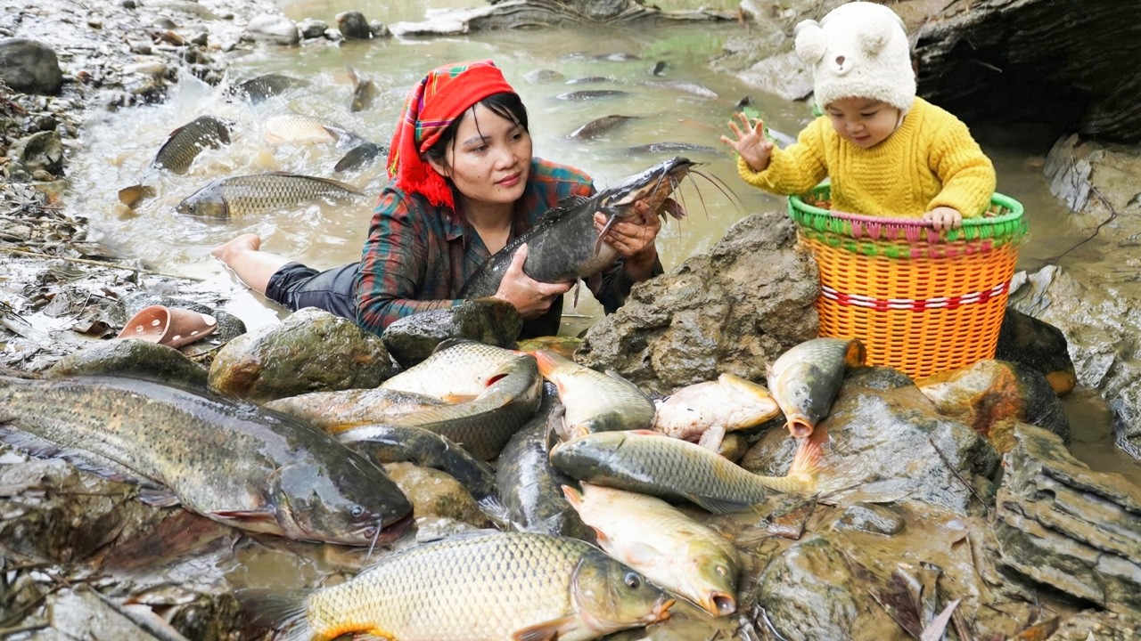 Fishing video Draining a natural lake by hand - catching lots of big fish - Giant fish