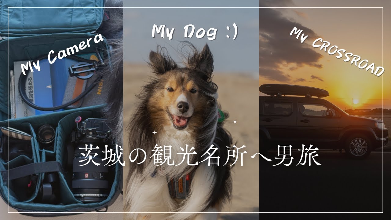 クロスロードに乗って愛犬と写真旅in 茨城