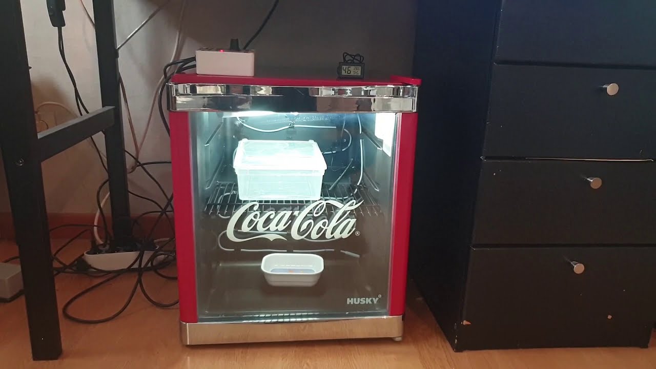 mon nouveau incubateur reptile tuto