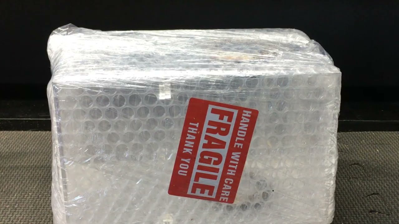 Jumping Spider Enclosure and Decor  Unboxing from BigFatPhids.com !