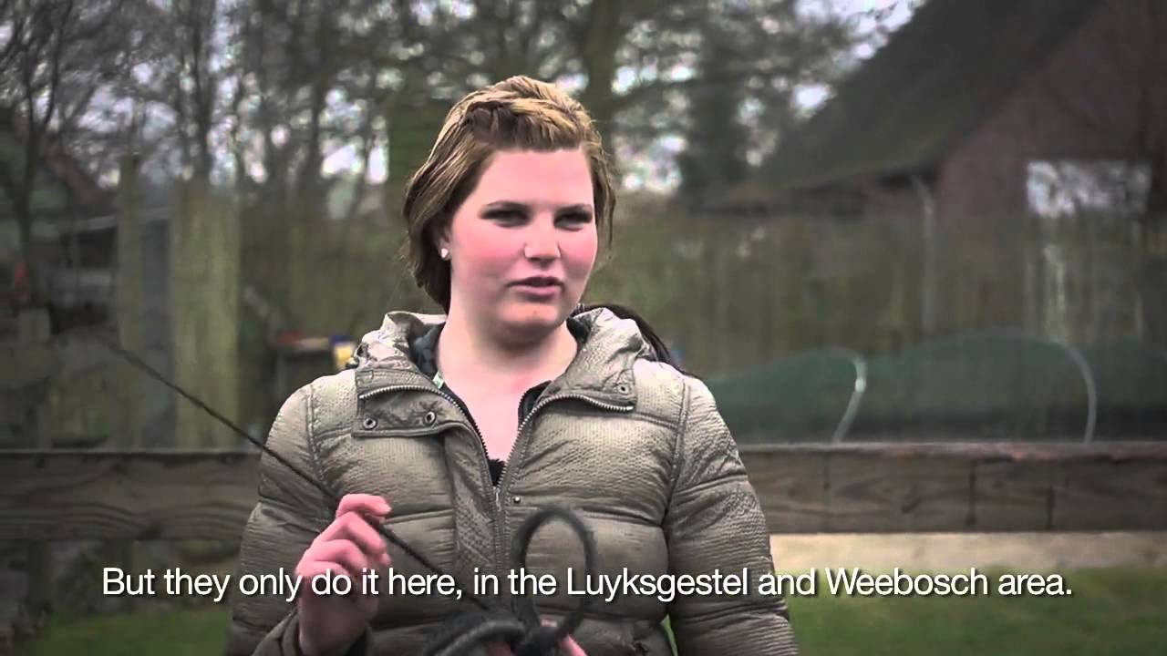Het Wonder van De Weebosch