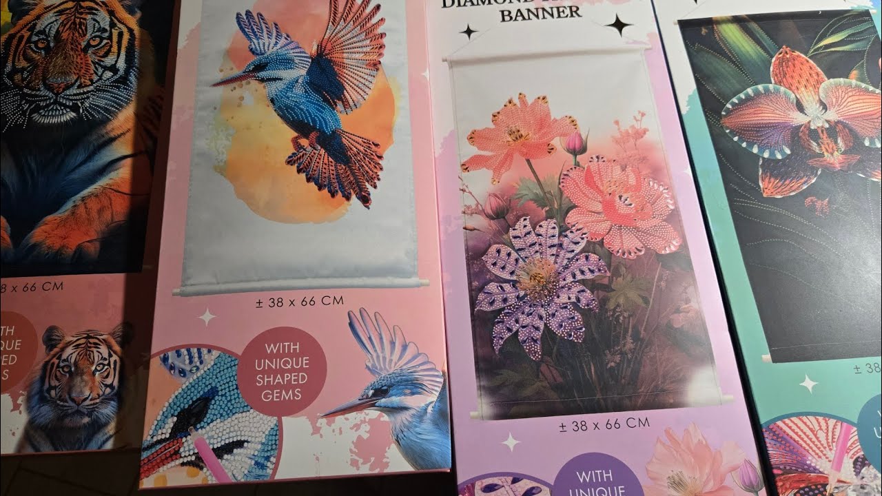 Haul diamant painting action