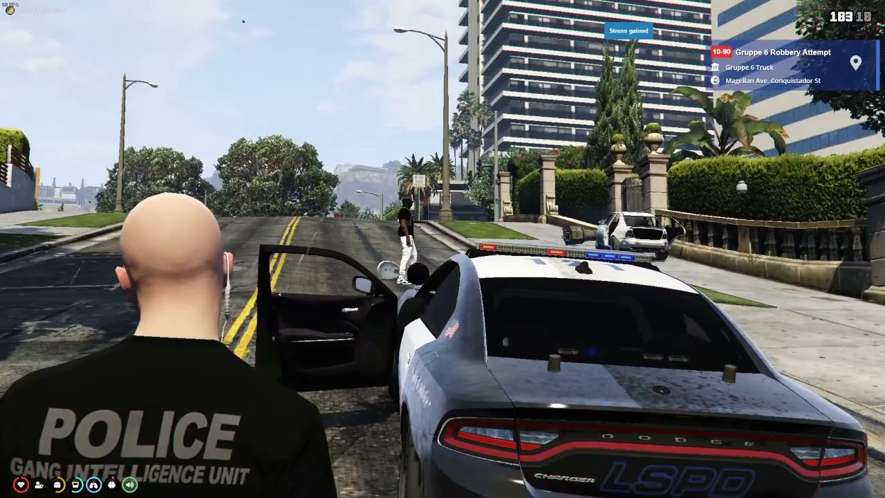 FrenzyRP 