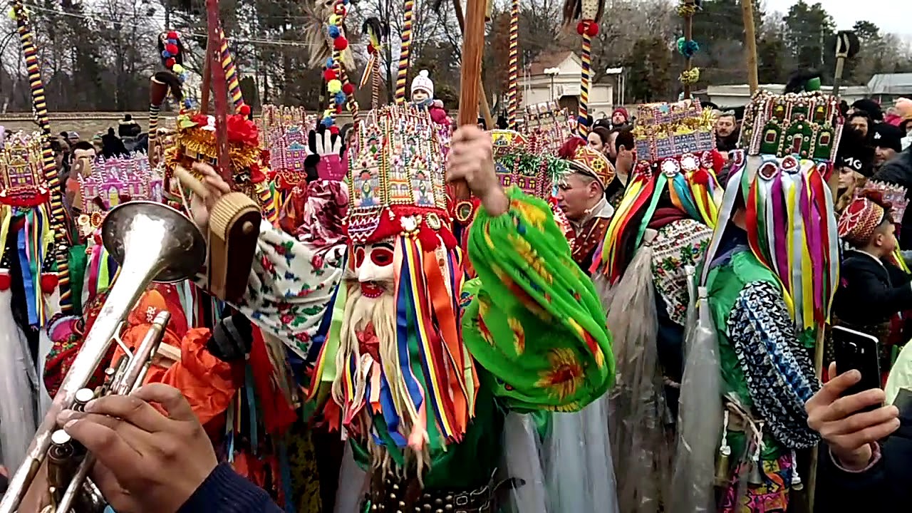 Malanca Ruginoasa 2017