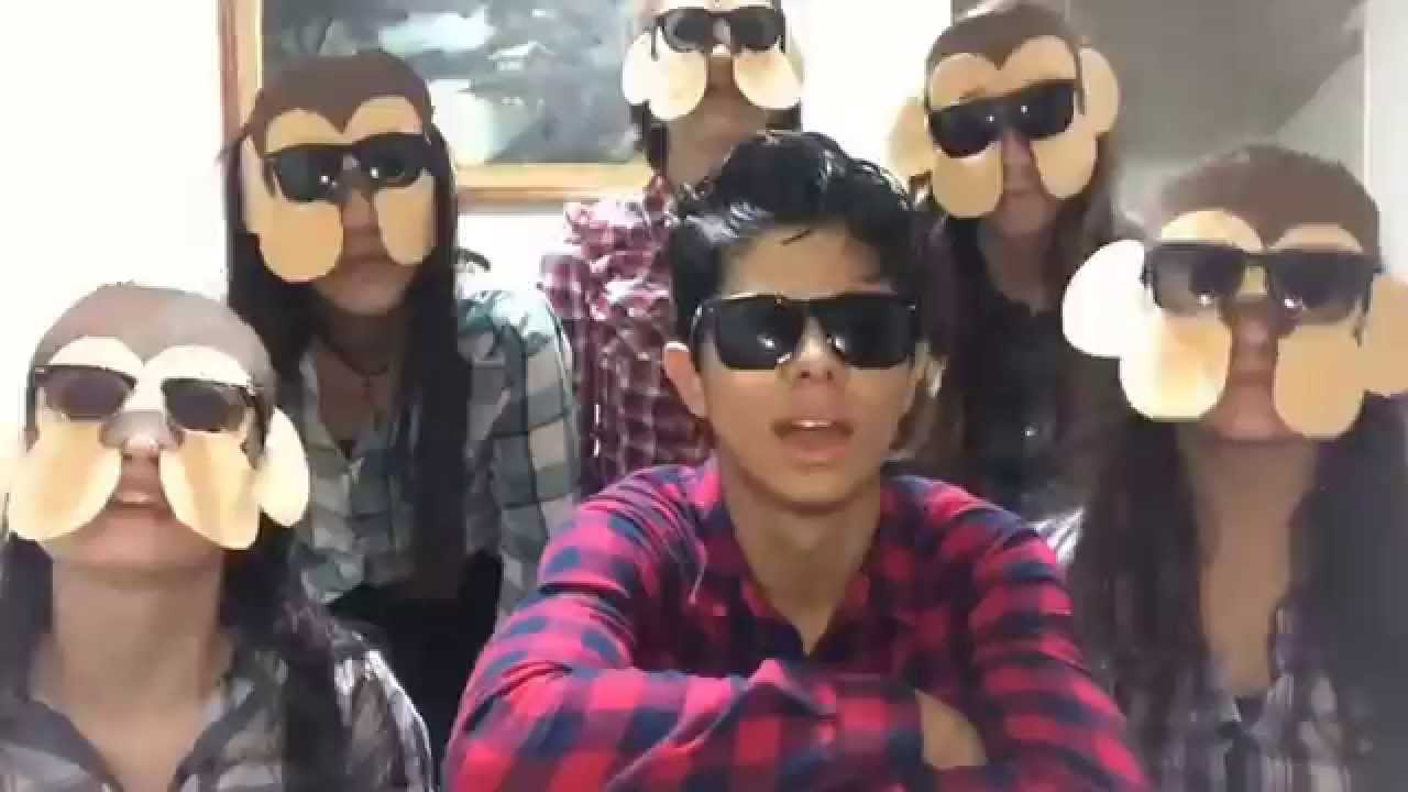 The lazy song (COVER)