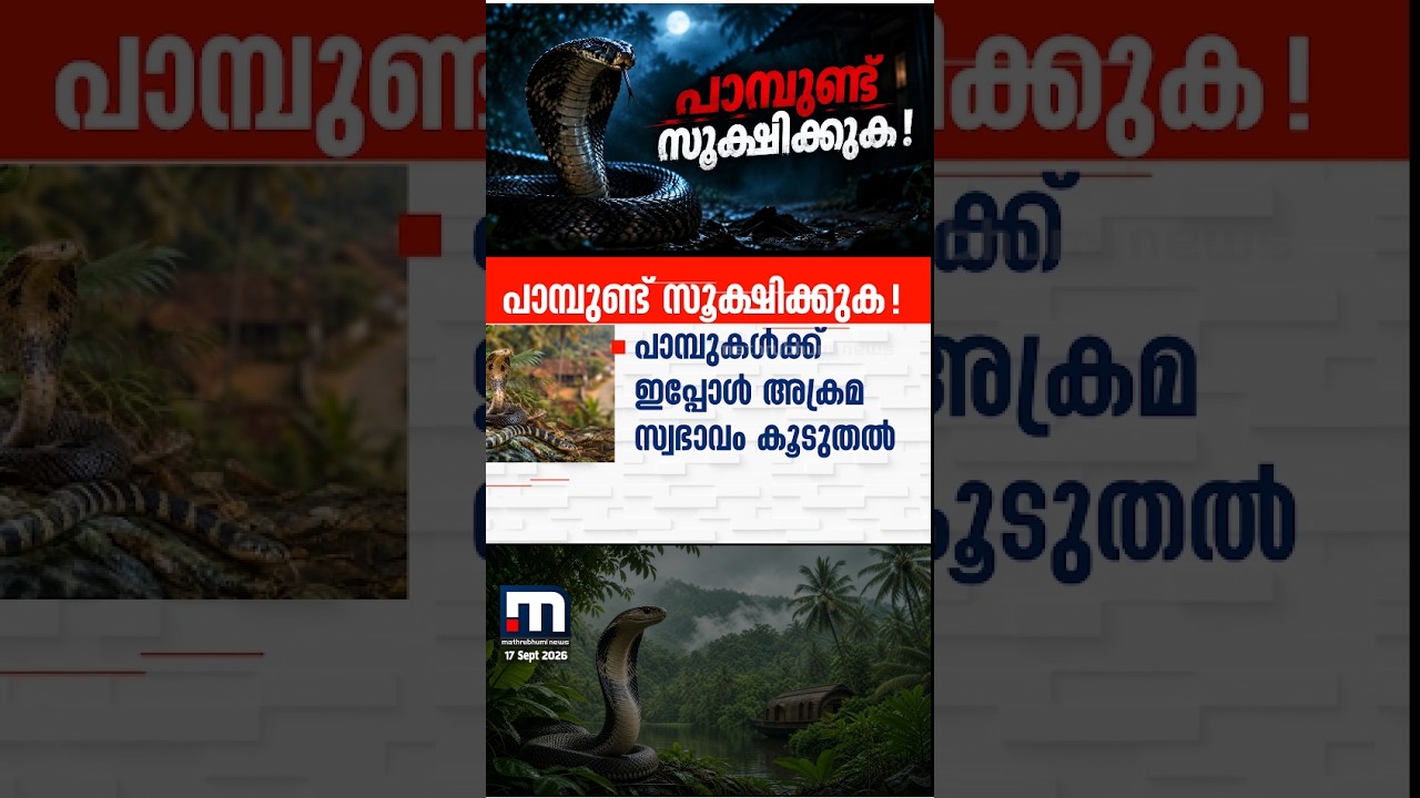 ചൂട് കൂടി, മാളം വിട്ടിറങ്ങി പാമ്പുകൾ ! ആക്രമണ സ്വഭാവവും കൂടുതൽ... | Snake Alert | Awareness