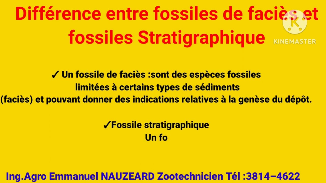 Géologie Ns4 : pa gen egzamen san chapitre sa fossile 💪💪💯✍️ SVT SMP SES ✍️💪💪💪💯💯💯💯💯 motivation