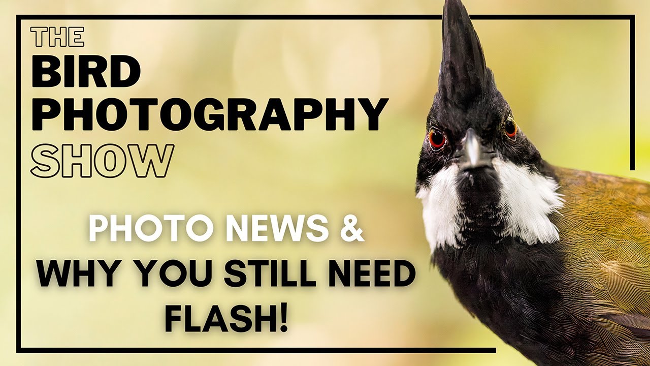 Z9 | 800mm | New Cameras | Photo NEWS & Why You still NEED Flash! The Bird Photography Show