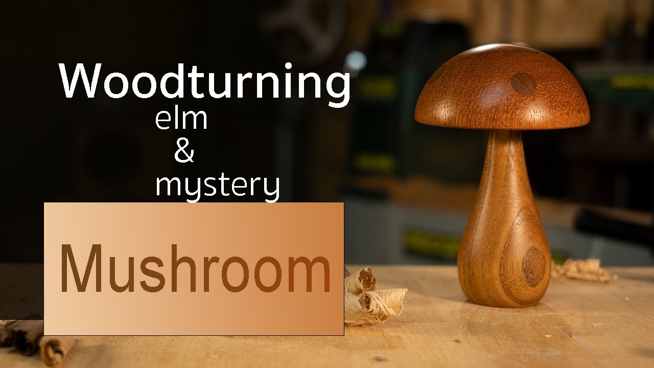 Woodturning - Mushroom from elm and something else...