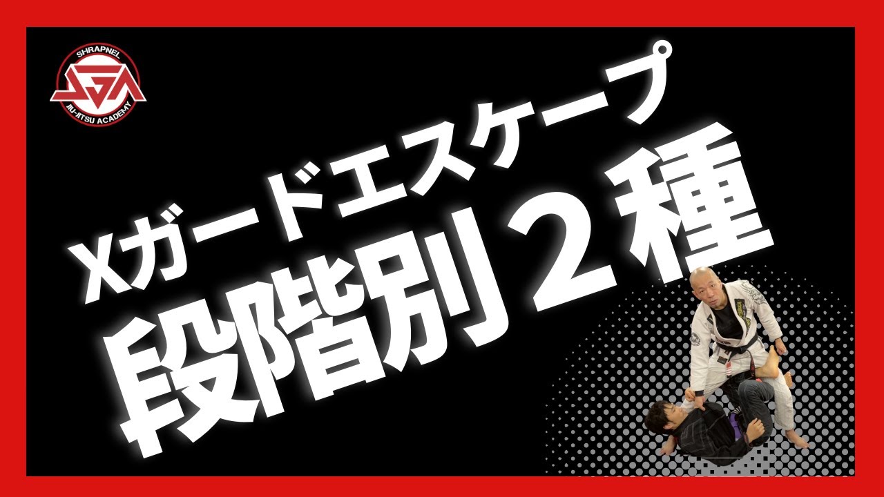 【Xガード解除】段階別２種