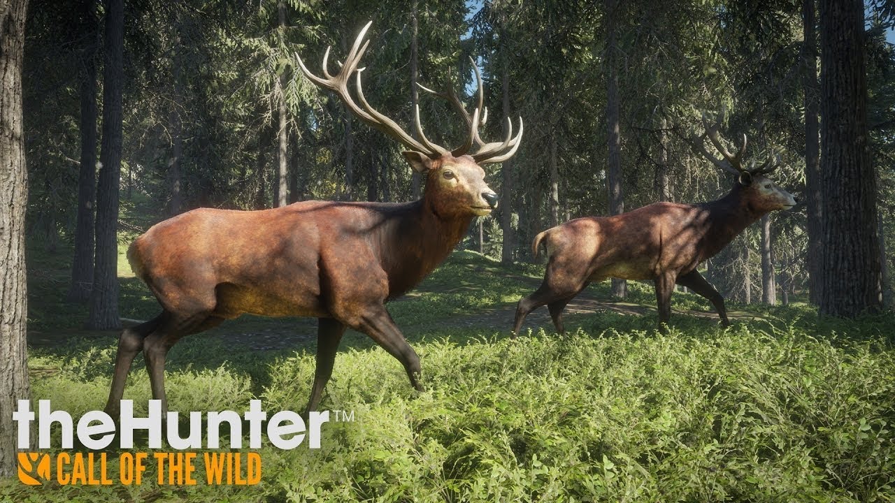 TheHunter Call of the Wild Moments and Kills #1