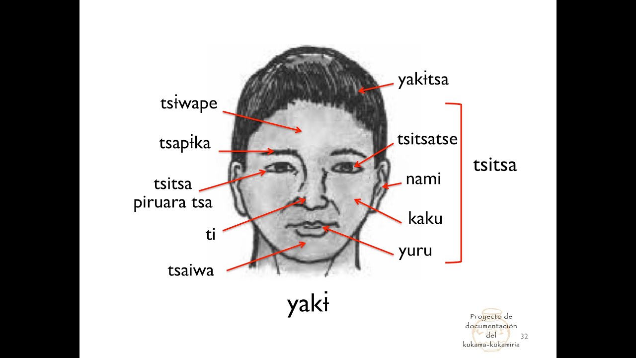 Aprendiendo kukama: partes de la cabeza