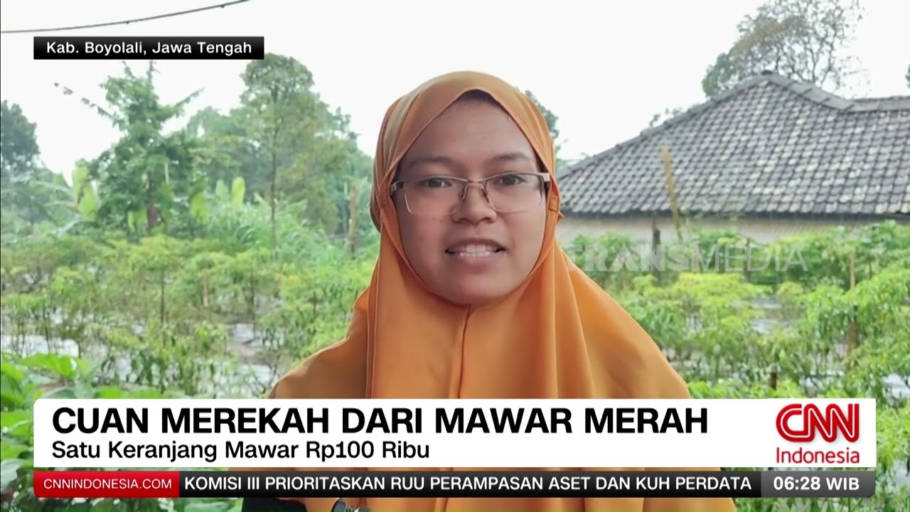 Cuan Merekah Dari Mawar Merah | REDAKSI PAGI (11/02/26)