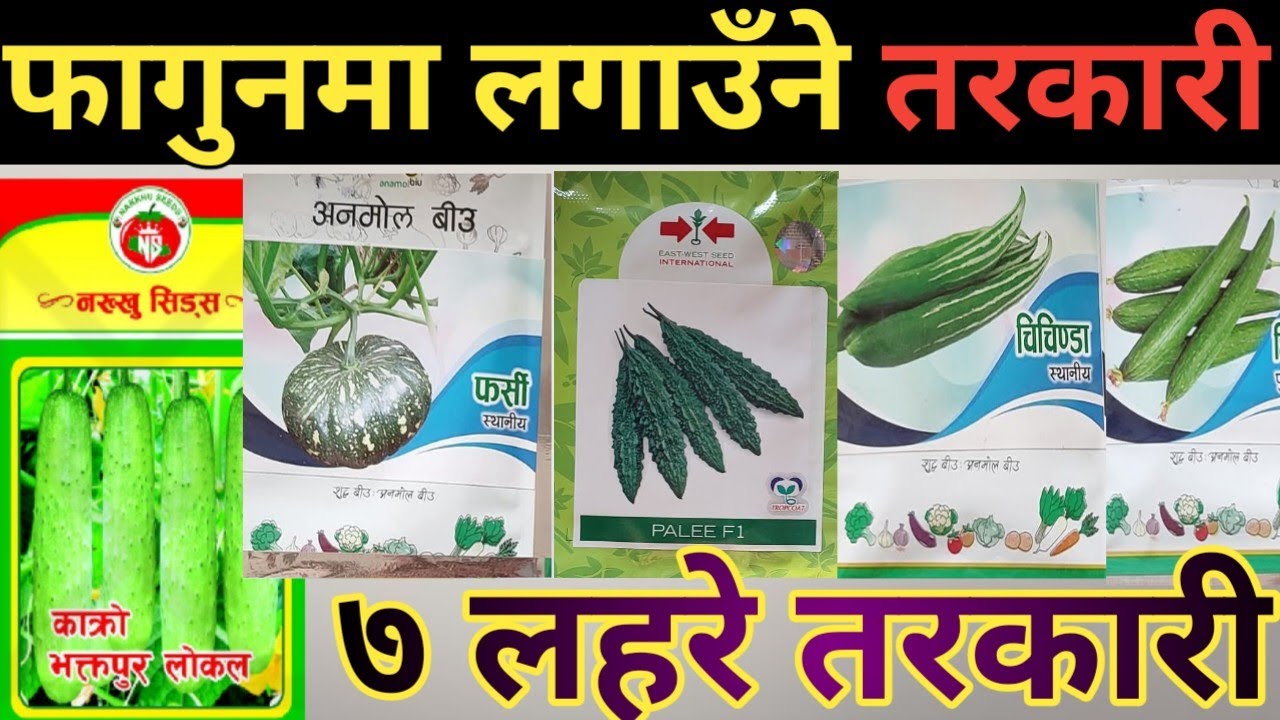 फागुनमा लगाउँने लहरे तरकारी जस्को राम्रो पैसा पर्दछ सबै जानाकारी