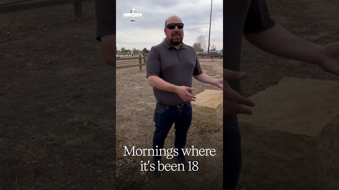 JBS Strike -Week Three - Interview with Union General Council Matthew Shechter