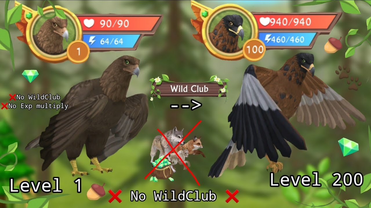 Уровень Wildcraft от 1 до 200, орел, часть 1 (от 1 до 100) ❌Без wildclub ❌