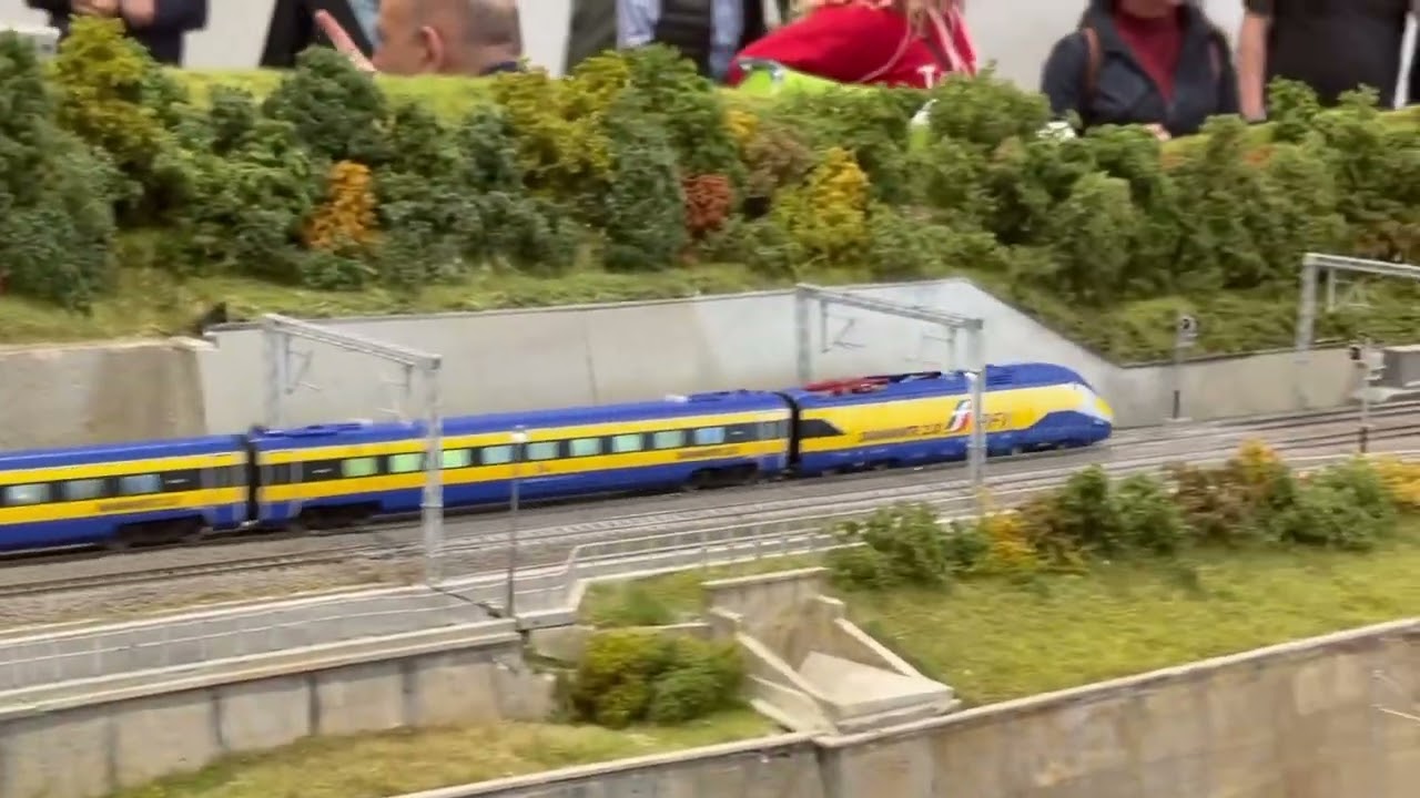  Hobby Model Expo Novegro 2025 Stand e Plastici 