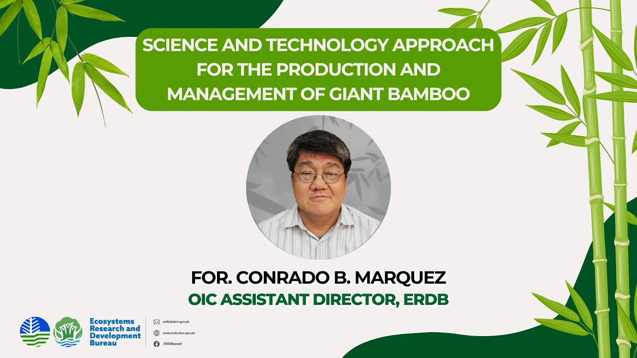 LECTURE 3: S&T Approach for Production and Management of Giant Bamboo
