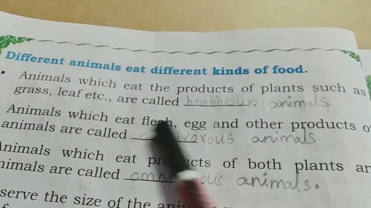 EVS The animals Kingdom Class 4