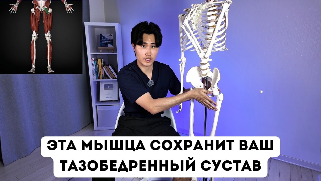 Эта мышца разрушает тазобедренный сустав, вызывает коксартроз. Вылечи ее и забудь о боли.