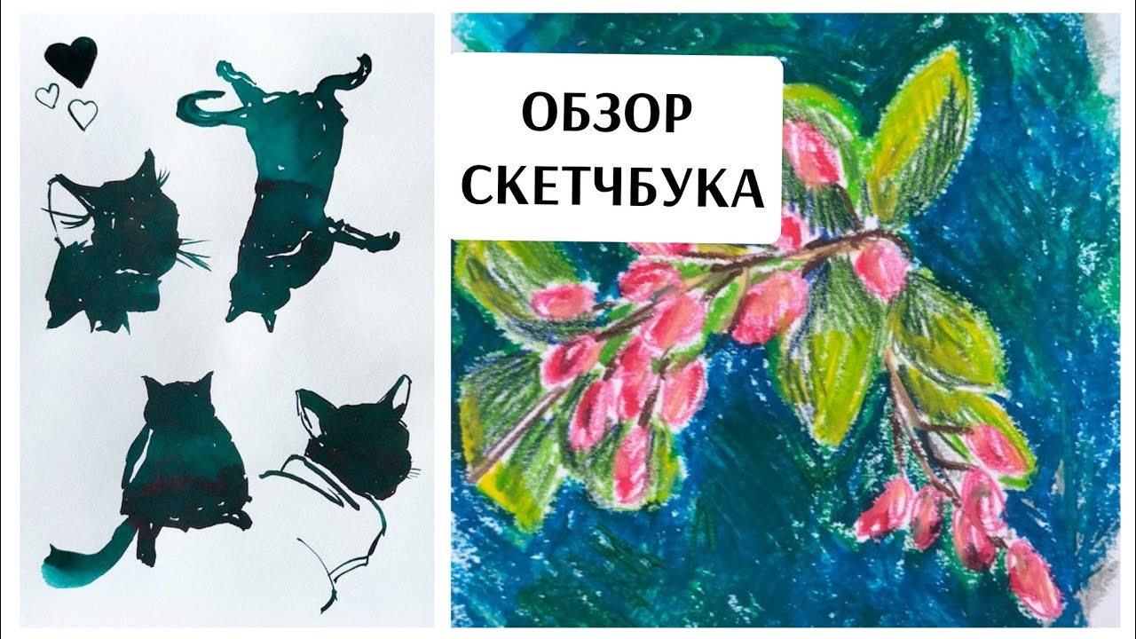 ОБЗОР законченного скетчбука / ГРАФИКА / Малевич ГРАФ АРТ / пленер / листаем заполненный блокнот