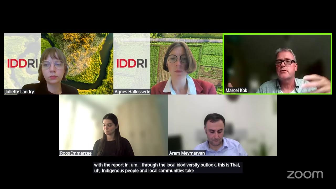 Building an effective Global Biodiversity Review under the Convention on biological diversity