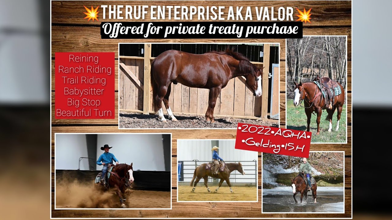 💥The Ruf Enterprise aka Valor💥 Offered at the Southern Belle Classic March 28th in Aiken SC 