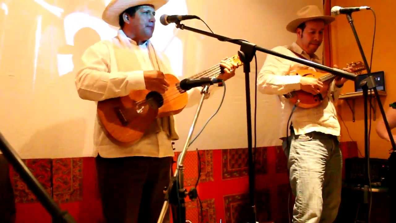 La Petenera (son jarocho) - Son de Madera
