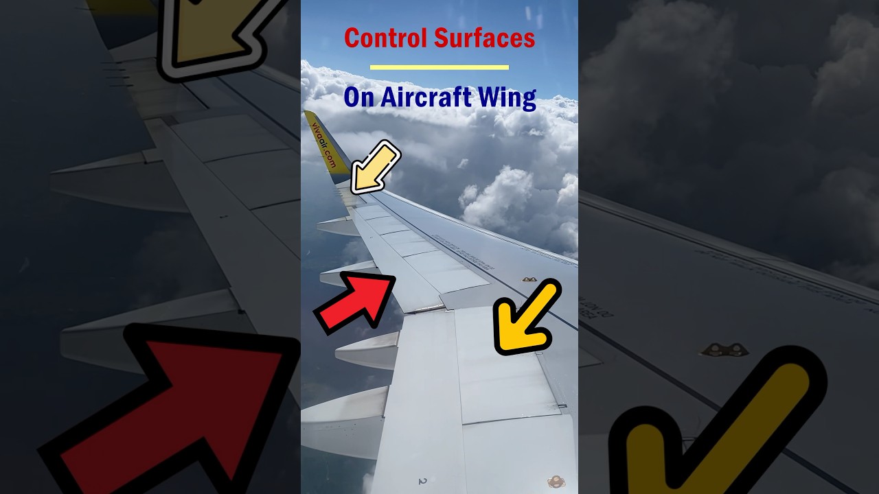 Функции поверхностей управления полетом на крыле самолета #airplanewing #flightcontrols