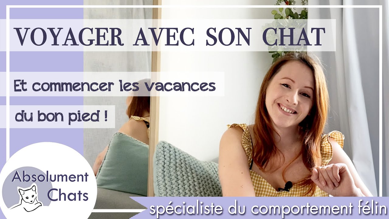 voyager avec son chat