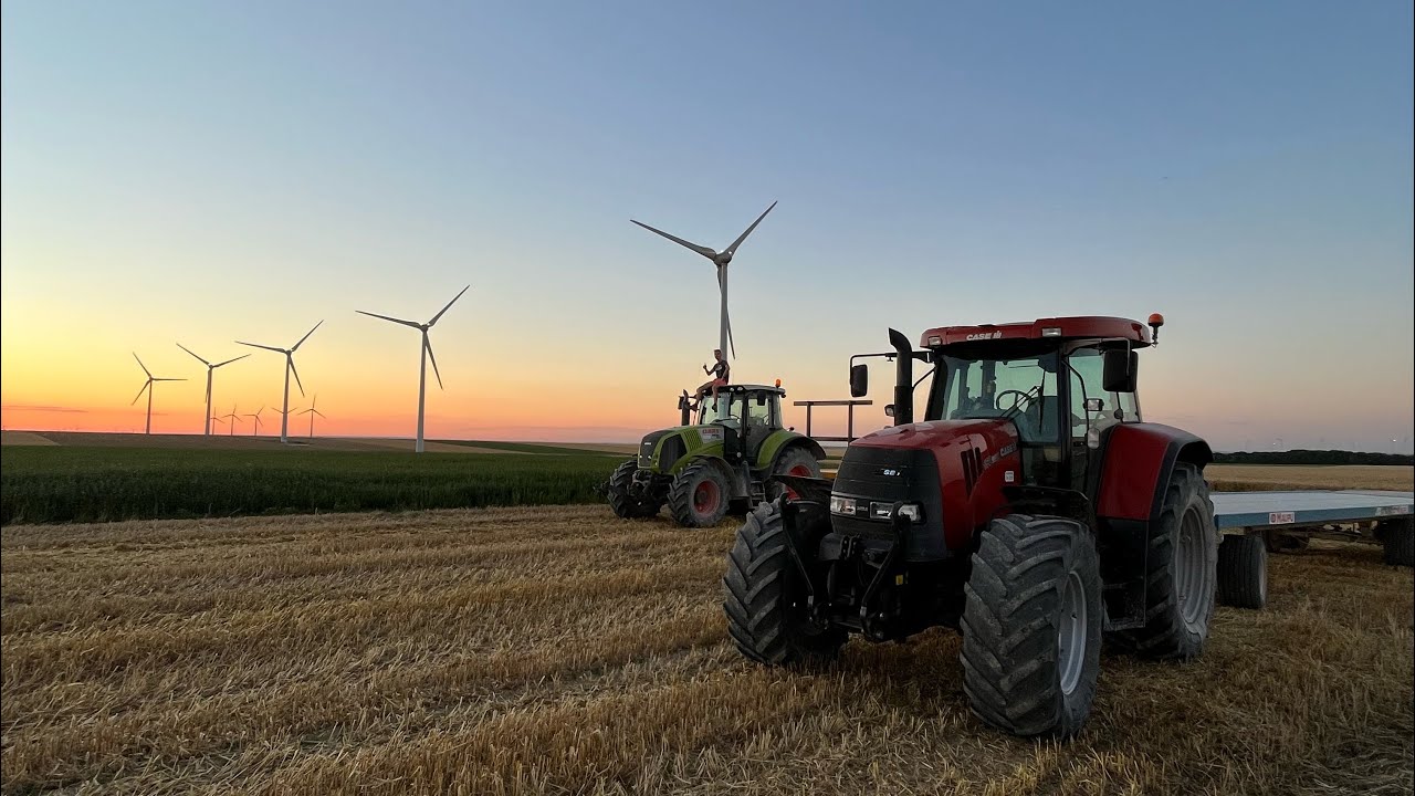 Saison de paille 2022 | Part. 1 | Mise en route dans les escourgeons 🌾