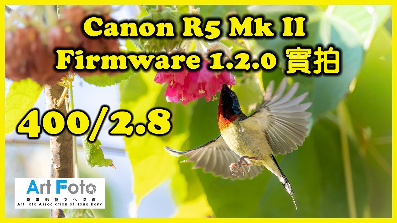 【攝影教學/器材速遞 #631】Canon R5 Mk II Firmware 1.2.0 實拍 -  400mm F2.8  (2 of 5)  (CC 中文字幕) - Alex Fung FRPS