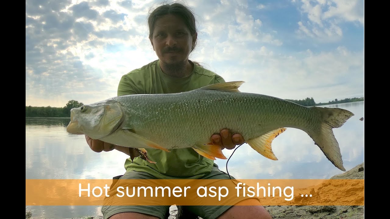 Spinning for the ASP in a very hot summer ...