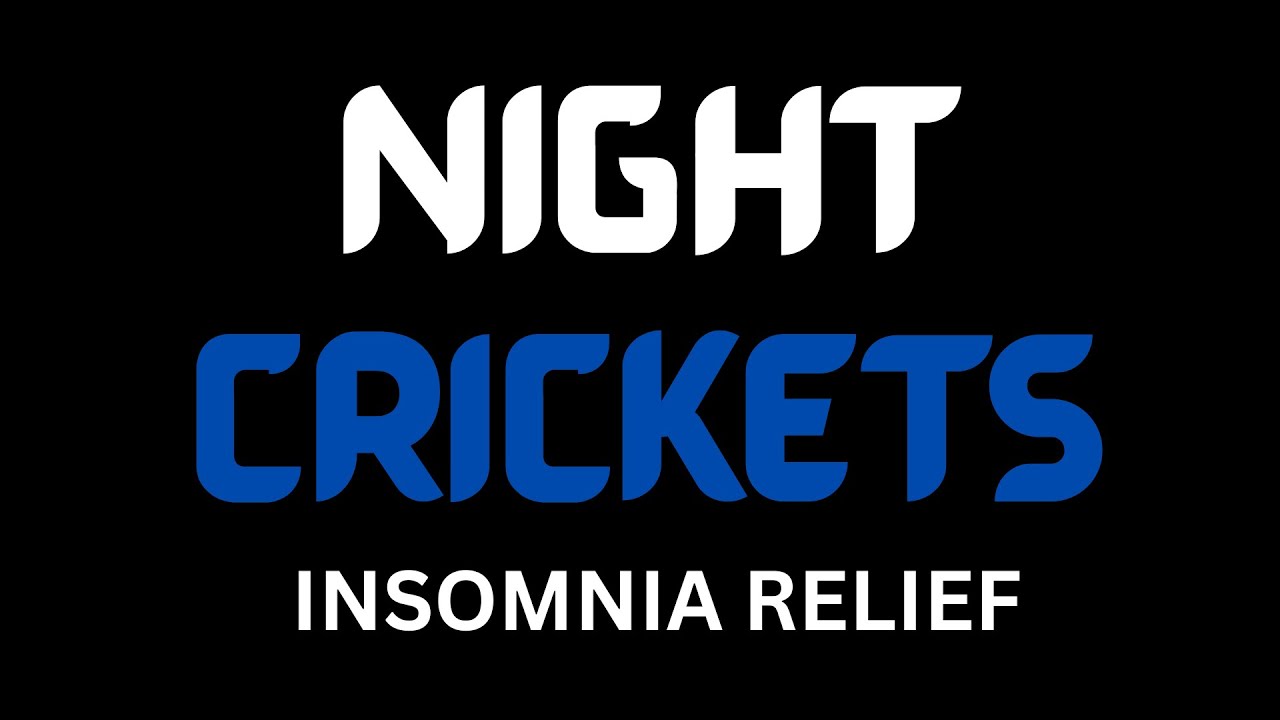 Night Crickets Outside Tent 🦗🌌 Insomnia Relief Sound | Black Screen | No Music | 8 Hours