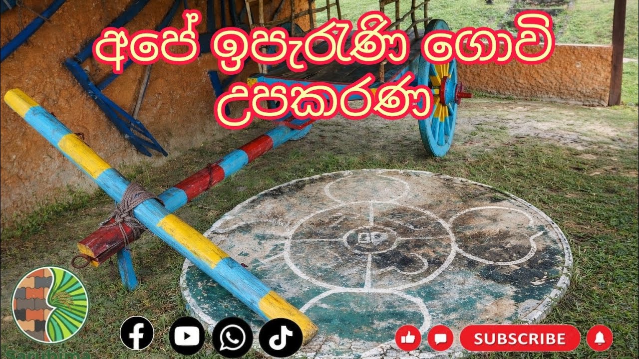 අපේ ඉපැරැණි ගොවි උපකරණ පිළිබඳ දැනගමු.🌾