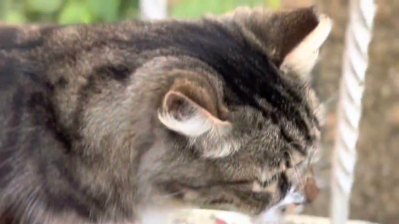 Прогулка по Стамбулу. Мраморное море. Авджылар. Avcılar. Marmara Denizi. Istanbul.
