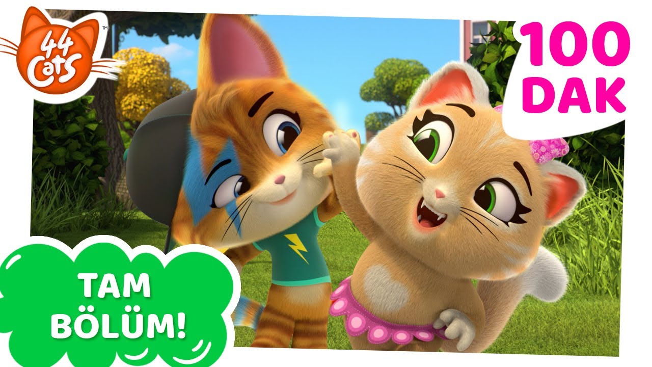 44 Kedi | 8  TÜM BÖĹÜMLER! 😺 Buffykediler: kedi-tastik Arkadaşlar! 🌈🤗