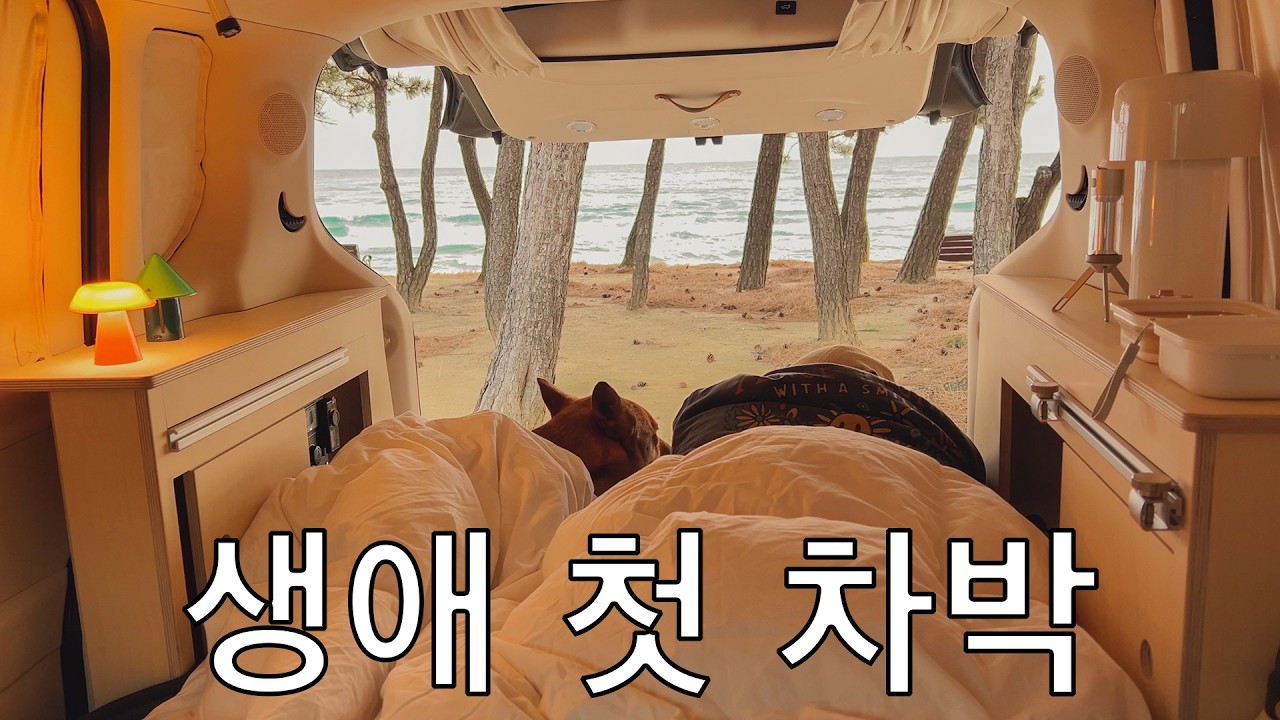 생애 첫 차박을 새해 첫날 하기 | 스노우피크igt | 해돋이 | 애견차중박