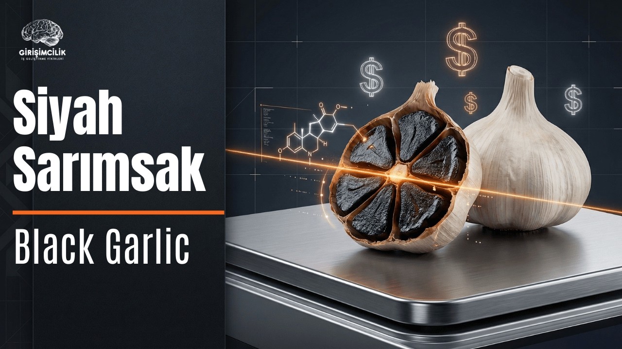 Endüstriyel Siyah Sarımsak Üretimi | İş fikirleri | Girişimcilik Yolu